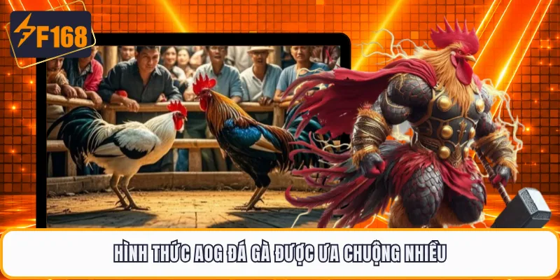 Hình thức AOG đá gà được ưa chuộng nhiều