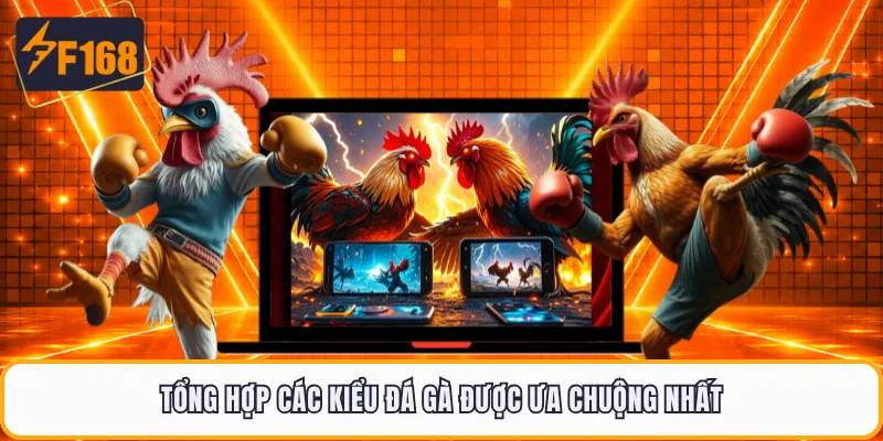 Tổng hợp các kiểu đá gà được ưa chuộng nhất